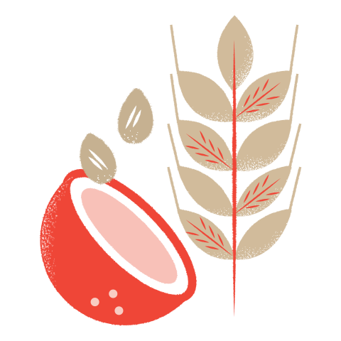 An illustration of oats and coconut
