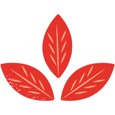 Red colored leaves.
