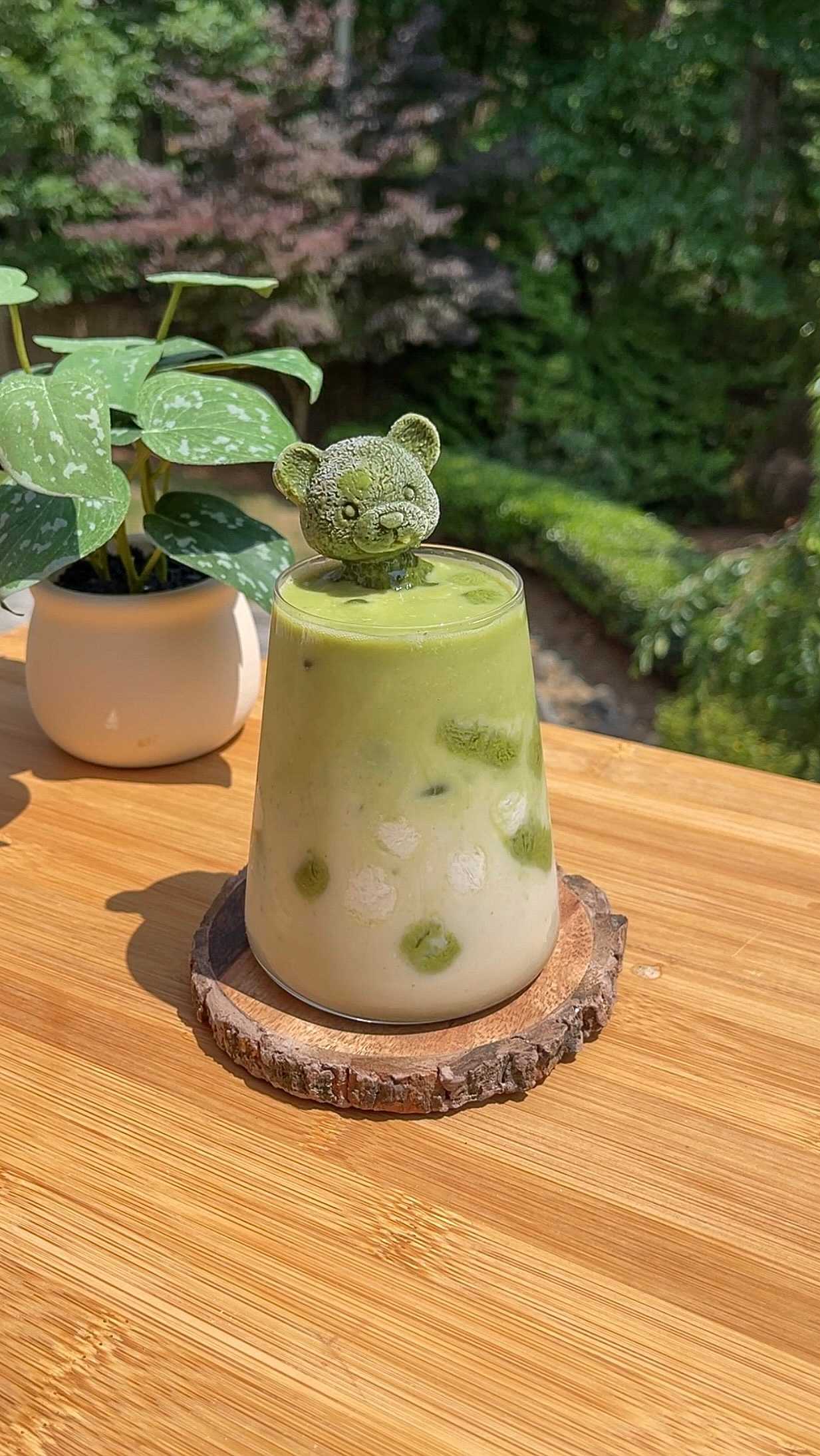 An iced matcha latte in a glass cup sits in the forefront of the image with foliage in the back.